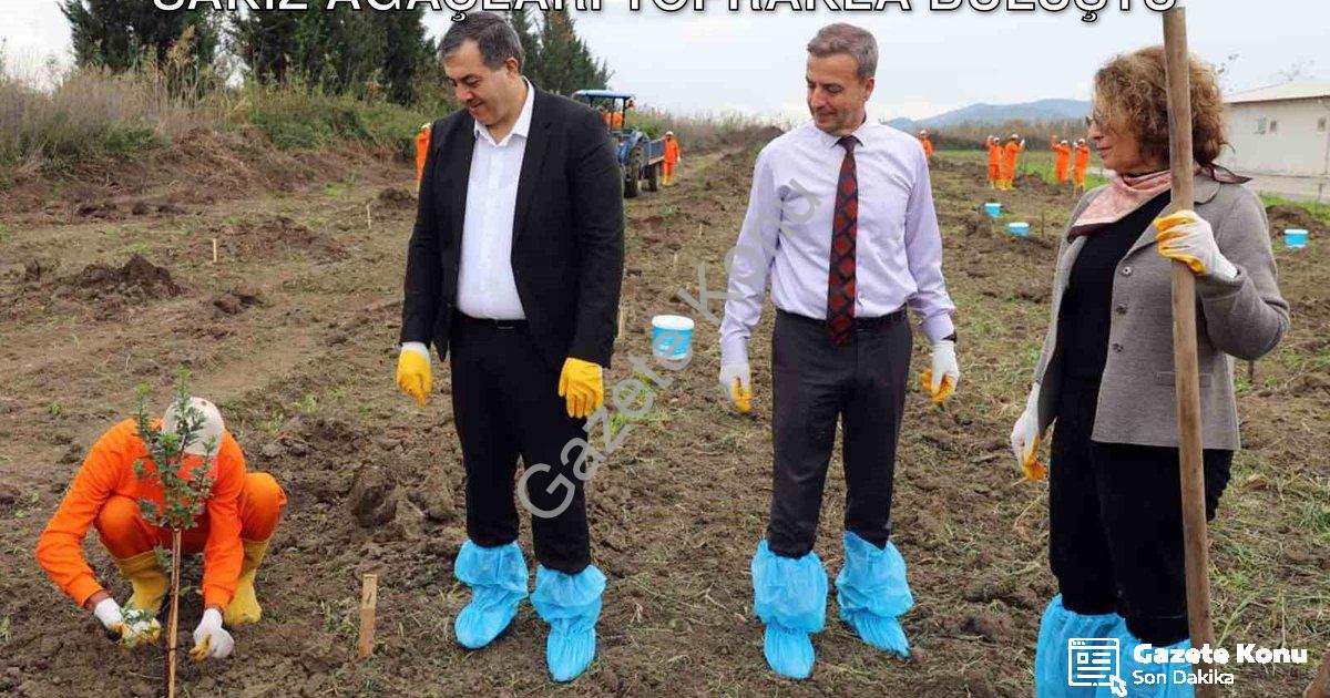 "Dalaman Açık Cezaevi'nde Tarımsal Atılım: Sakız Ağaçları Toprakla Buluştu" başlıklı haber için foto