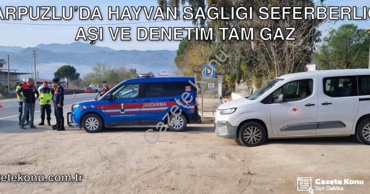 "Karpuzlu’da Hayvan Sağlığı Seferberliği: Aşı ve Denetim Tam Gaz" başlıklı haber için fotorealistik,