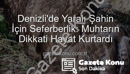 Denizli’de Yaralı Şahin İçin Seferberlik: Muhtarın Dikkati Hayat Kurtardı