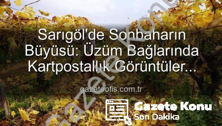 Manisa Sarıgöl’de Sonbahar Renkleri Eşliğinde Bağ Budama Çalışmaları Başladı: Yevmiye 1500 TL