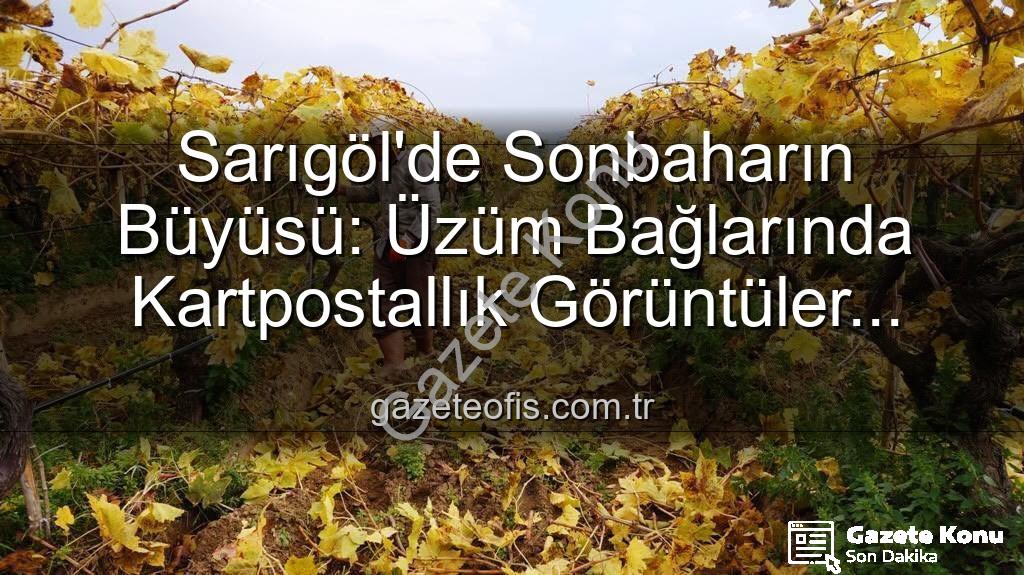 Sarıgöl bağ budama - Manisa Sarıgöl'de Sonbahar Renkleri Eşliğinde Bağ Budama Çalışmaları Başladı: Yevmiye 1500 TL
