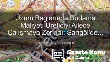 Üzüm Bağlarında Budama Maliyeti Fırladı: Üreticiler Ailece İş Başında!