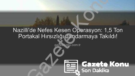 Nazilli’de Nefes Kesen Operasyon: 1,5 Ton Portakal Hırsızlığı Jandarmaya Takıldı!