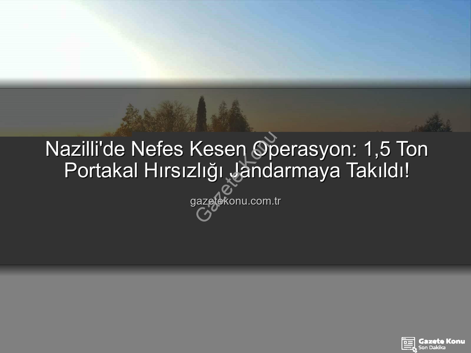 portakal hırsızlığı - Nazilli'de Nefes Kesen Operasyon: 1,5 Ton Portakal Hırsızlığı Jandarmaya Takıldı!