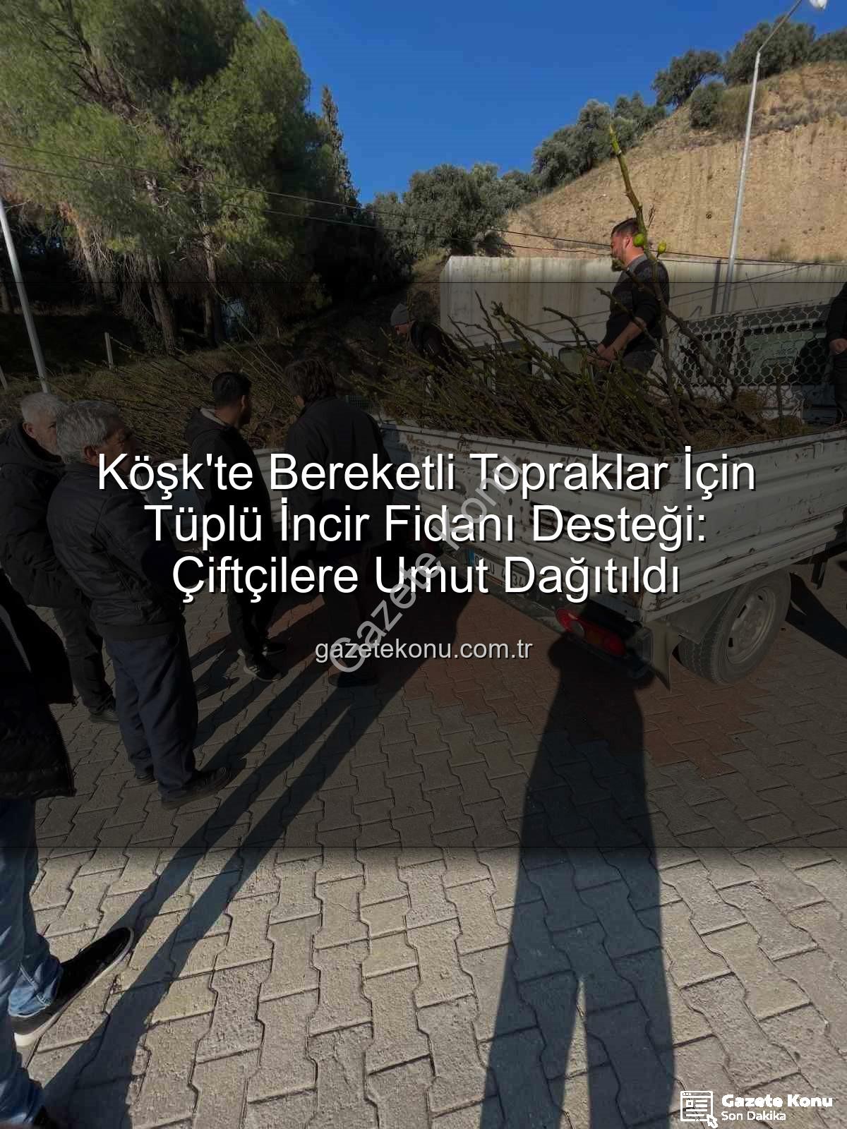 tüplü incir fidanı - Köşk'te Bereketli Topraklar İçin Tüplü İncir Fidanı Desteği: Çiftçilere Umut Dağıtıldı