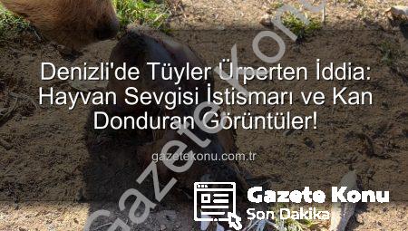 Denizli’de Tüyler Ürperten İddia: Hayvan Sevgisi İstismarı ve Kan Donduran Görüntüler!