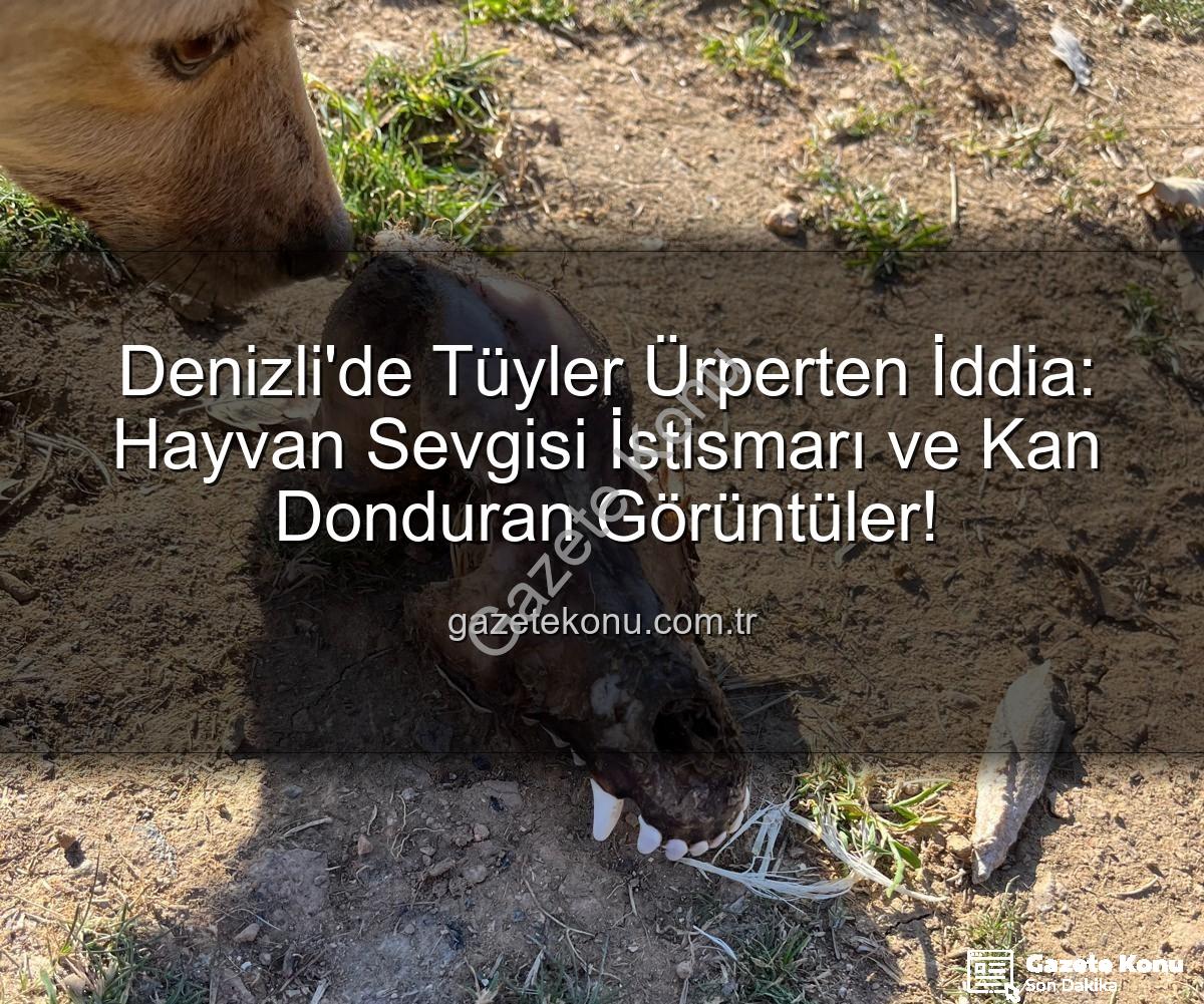 Denizli'de Tüyler Ürperten İddia: Hayvan Sevgisi İstismarı ve Kan Donduran Görüntüler!