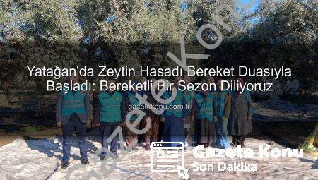 Yatağan’da Zeytin Hasadı Bereket Duasıyla Başladı: Bereketli Bir Sezon Diliyoruz