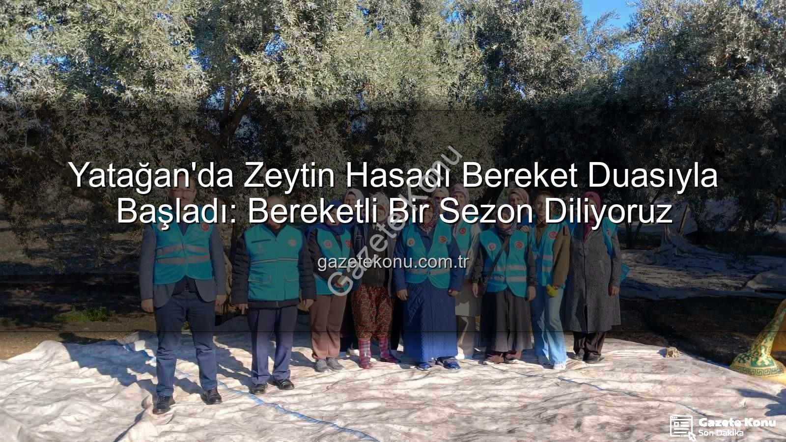 Yatağan zeytin hasadı - Yatağan'da Zeytin Hasadı Bereket Duasıyla Başladı: Bereketli Bir Sezon Diliyoruz