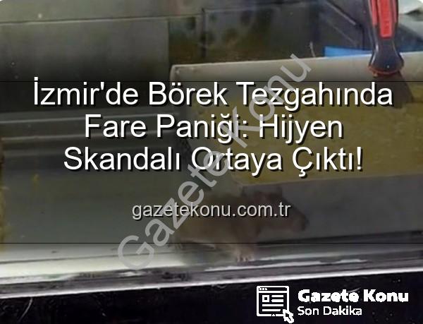 börek tezgahında fare - İzmir'de Börek Tezgahında Fare Paniği: Hijyen Skandalı Ortaya Çıktı!