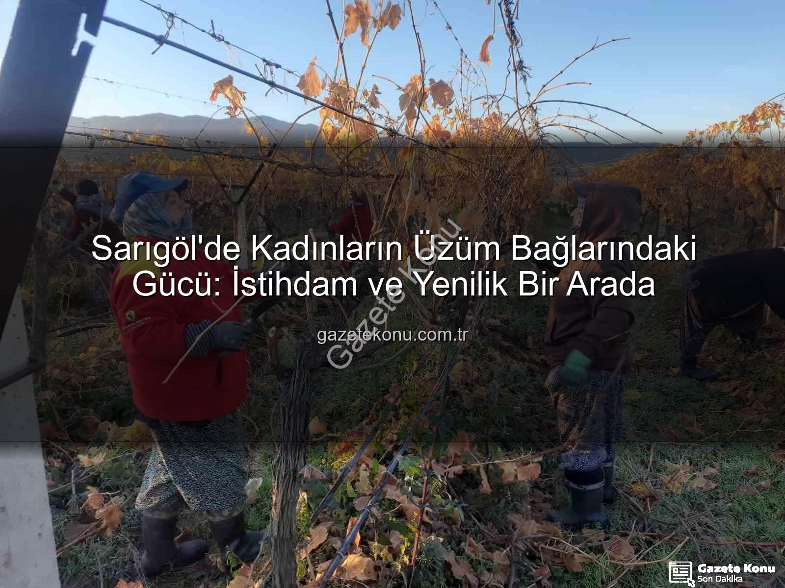 kadın istihdamı - Sarıgöl'de Kadınların Üzüm Bağlarındaki Gücü: İstihdam ve Yenilik Bir Arada