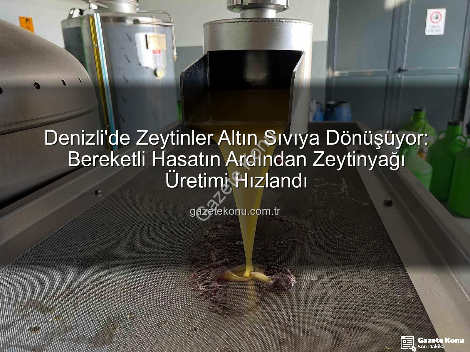 Denizli zeytinyağı üretimi - Denizli'de Zeytinler Altın Sıvıya Dönüşüyor: Bereketli Hasatın Ardından Zeytinyağı Üretimi Hızlandı