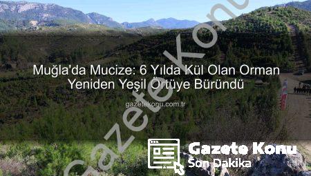 Muğla’da Mucize: 6 Yılda Kül Olan Orman Yeniden Yeşil Örtüye Büründü
