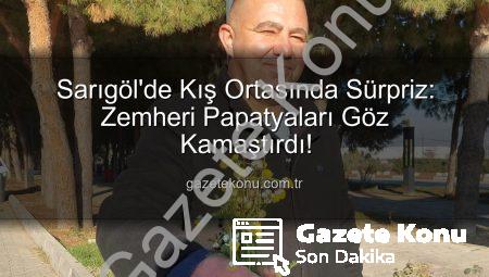 Sarıgöl’de Kış Ortasında Sürpriz: Zemheri Papatyaları Göz Kamaştırdı!